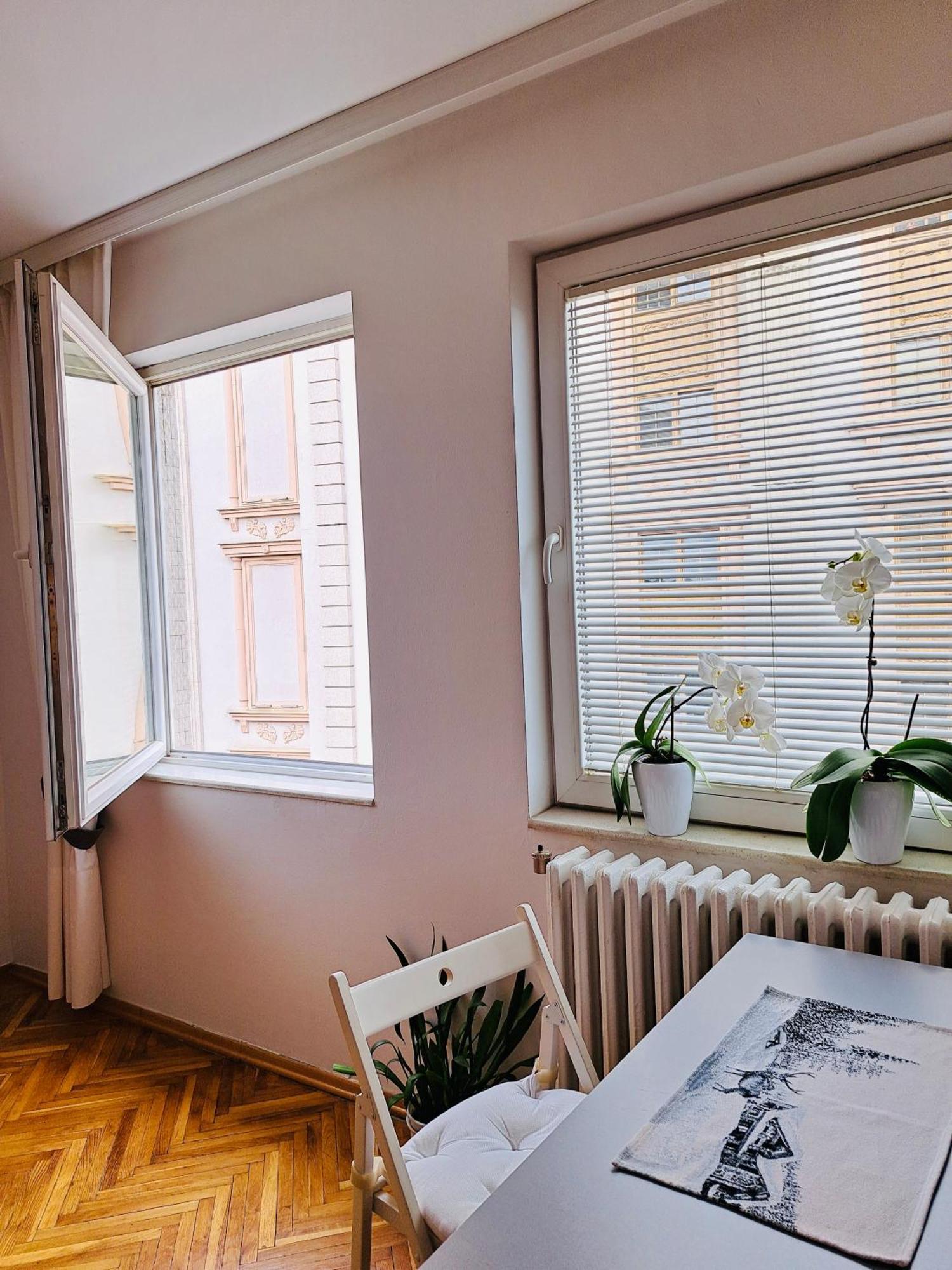 Uma- Urban Mini Apartment スコピエ エクステリア 写真